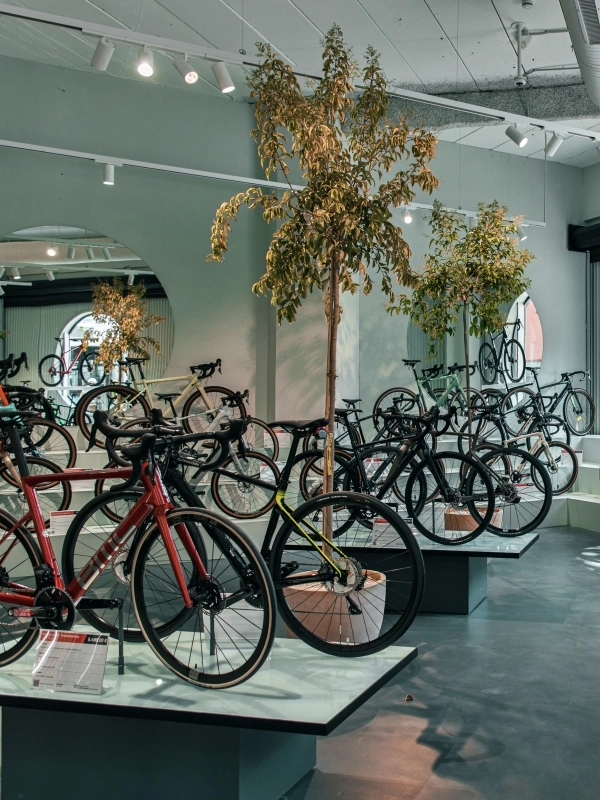 imagen de marca biciescapa