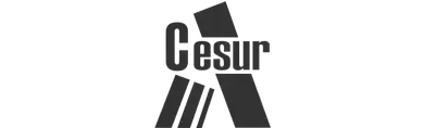 logo negro Cesur